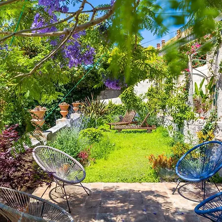 Ani Ariel Apartment