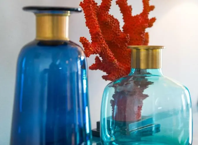 Ani Ariel Dubrovník