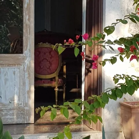 Ani Ariel Apartament *